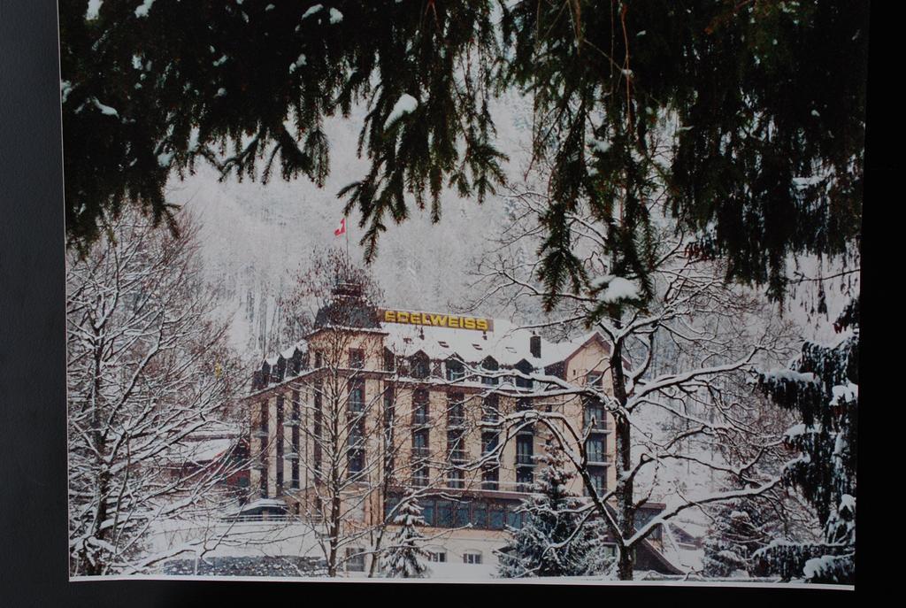Hotel Edelweiss Engelberg Dış mekan fotoğraf